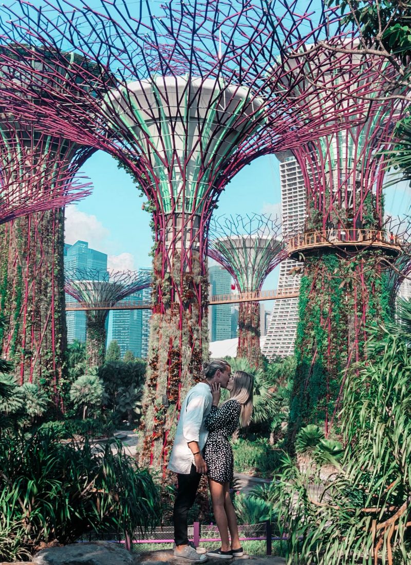 Ultimate Travel Guide To Singapore